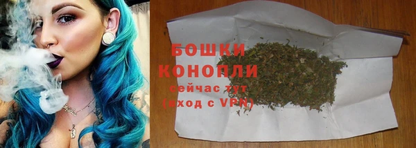 ECSTASY Богданович
