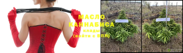 ECSTASY Богданович
