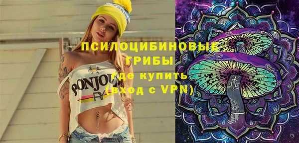 экстази Богородицк
