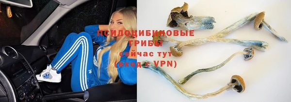 ALPHA-PVP Бугульма