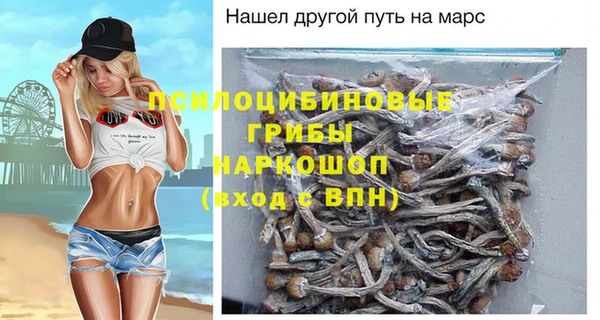экстази Богородицк