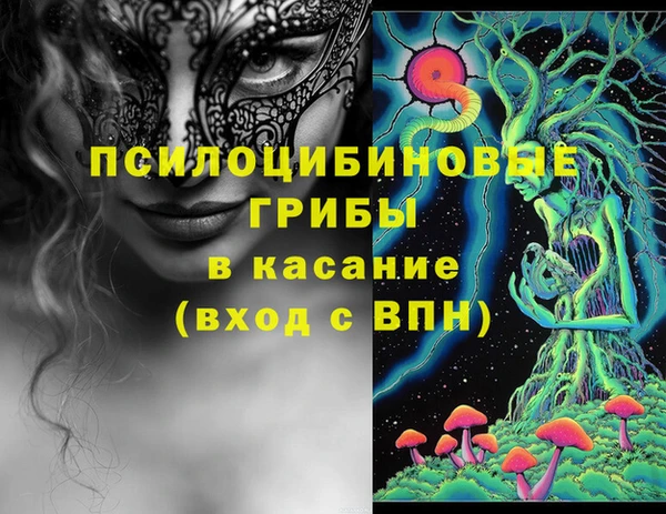 ECSTASY Богданович
