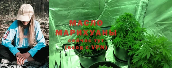 ECSTASY Богданович
